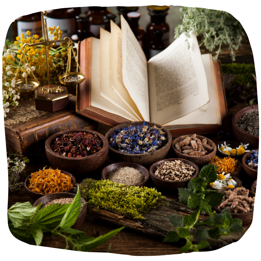 Introducción a la Medicina Āyurveda